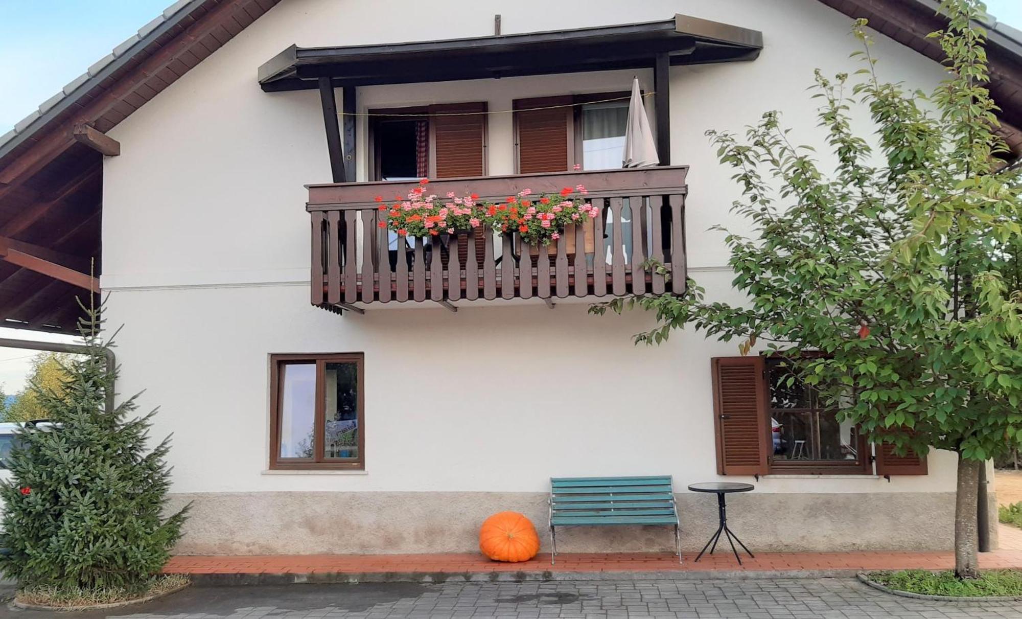 Apartma Biofit Bled Habitación foto
