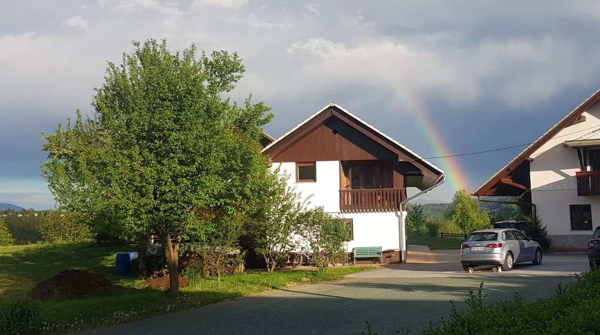 Apartma Biofit Bled Habitación foto
